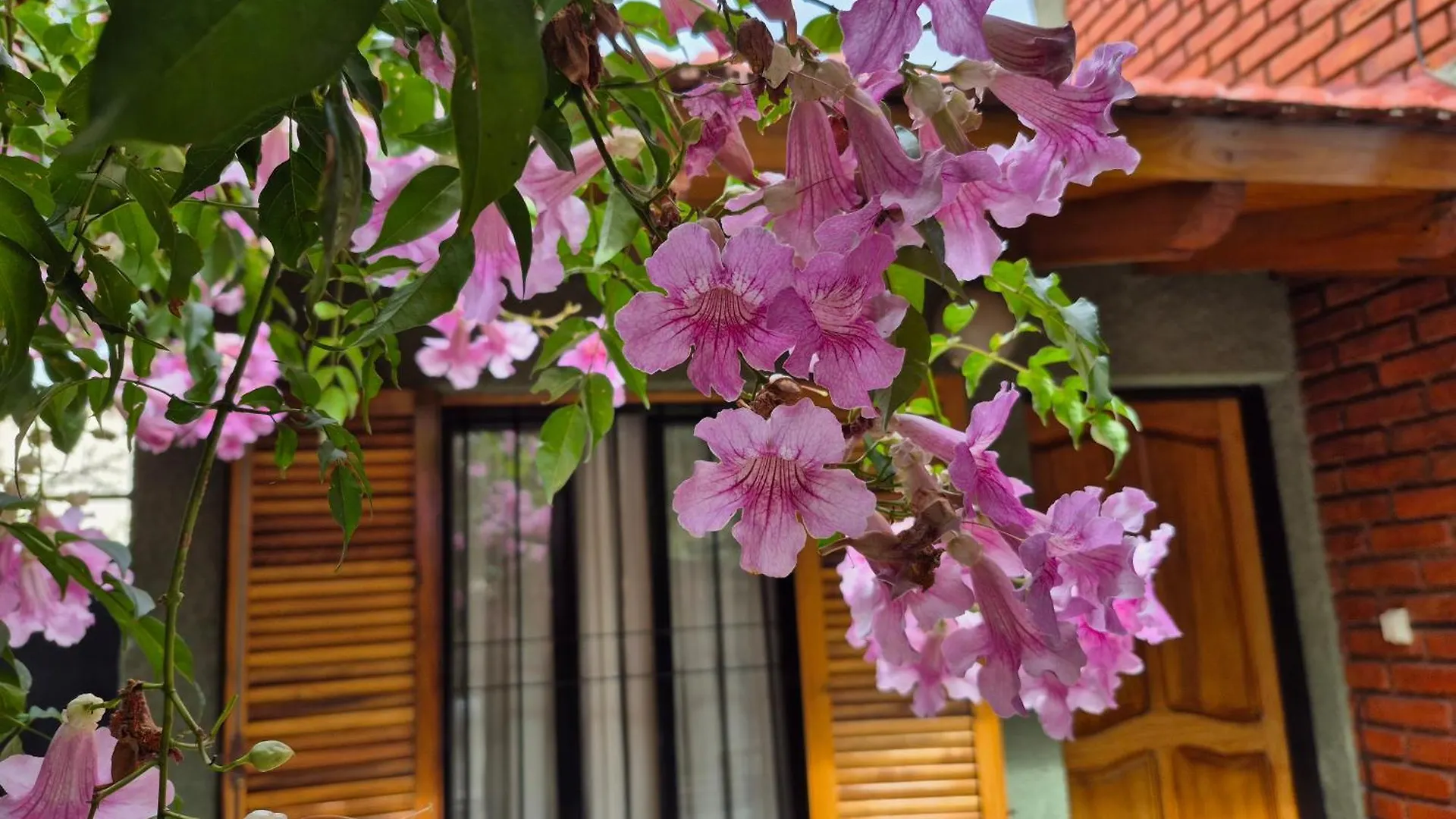 La Casa De Chiqui Villa Mendoza Holiday home